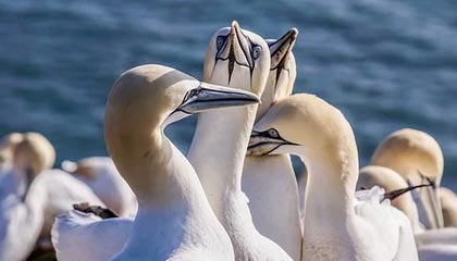 米兰体育入口-中超裁判执法公正性进一步保障，中超执法裁判表