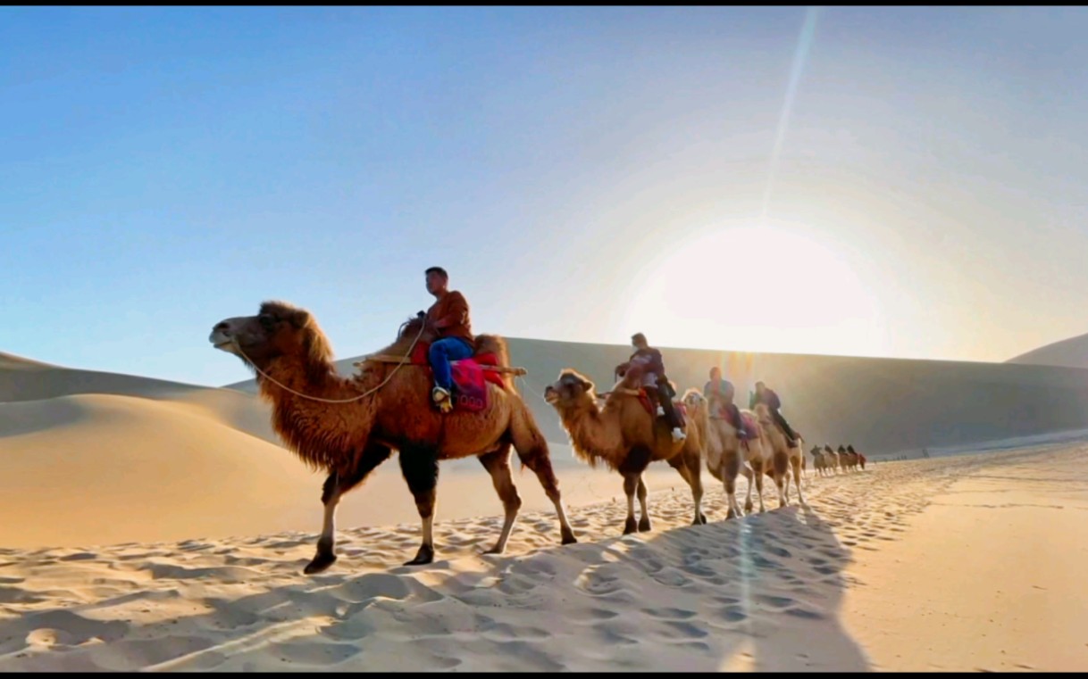 特色沙漠骑骆驼,感受不同的荒漠激情的简单介绍 特色沙漠骑骆驼,感受不同的荒漠激情的简单介绍