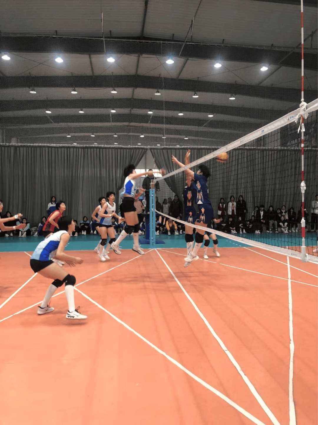 国际排球赛,激烈争夺胜利荣耀的简单介绍 国际排球赛,激烈争夺胜利荣耀的简单介绍