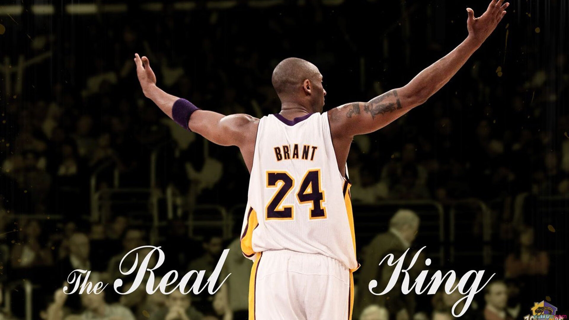 堡垒之夜再度刷新Twitch热度榜,堡垒之夜全球热度排名